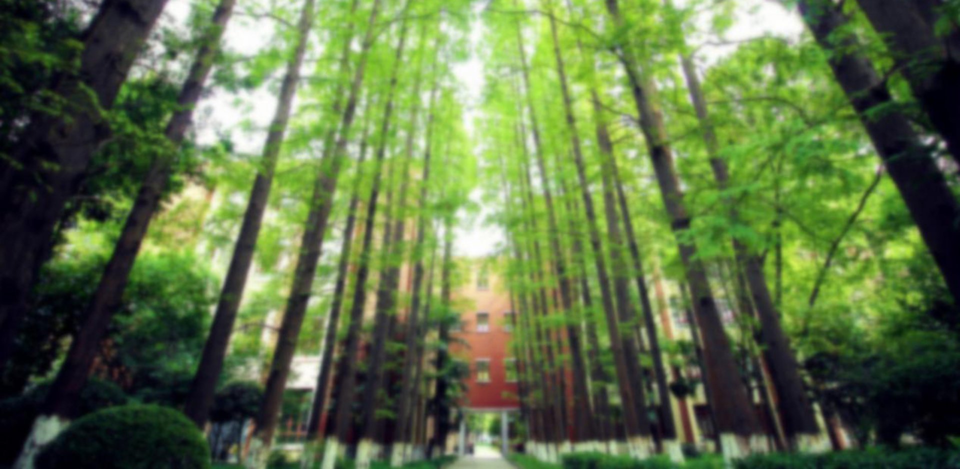 Songjiang Campus