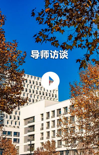 师资力量